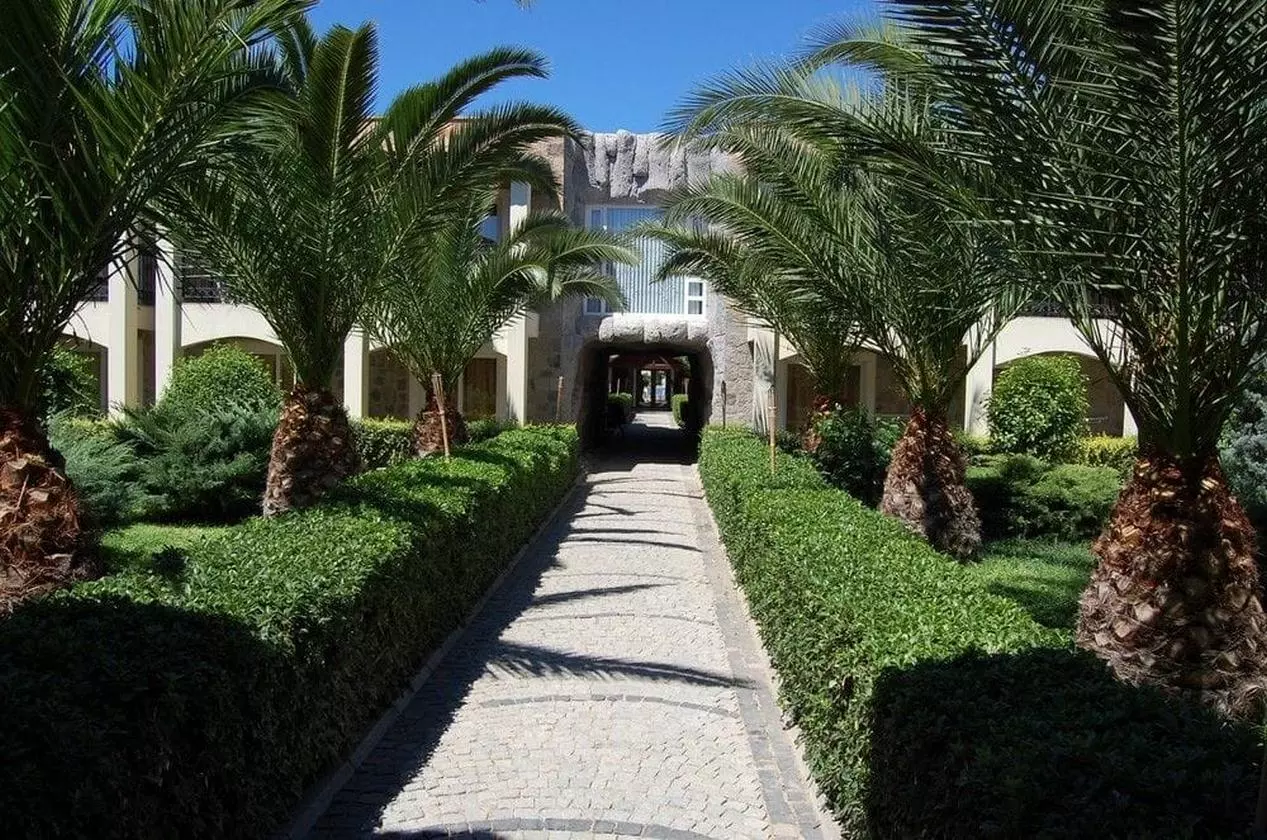 tianabeach_shabaviz (41).jpg